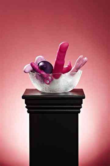 Sex Toy Stories Poster