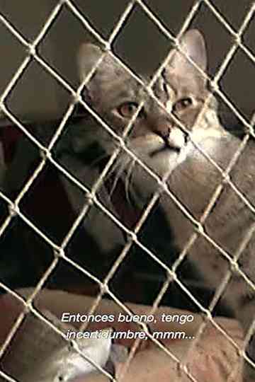 In this quarantine poster