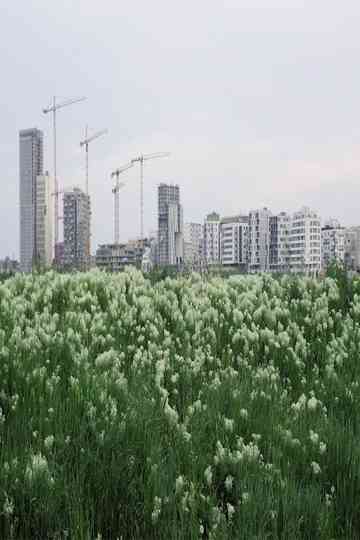 The Best City is No City at All Poster