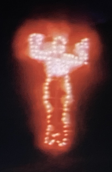 Ana Mendieta Fuego de Tierra Poster