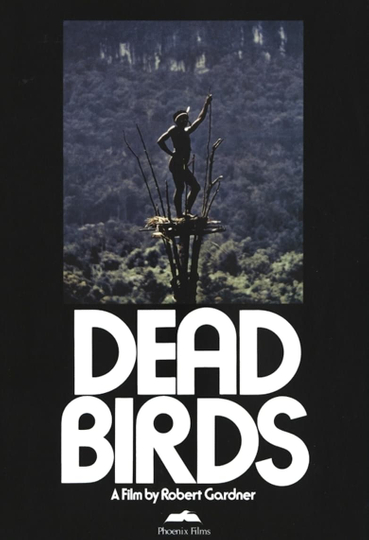 Dead Birds