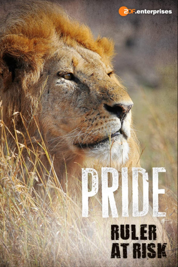 Pride Ruler at Risk Poster