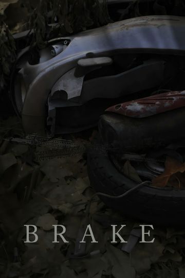 Brake