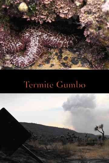 Termite Gumbo Poster