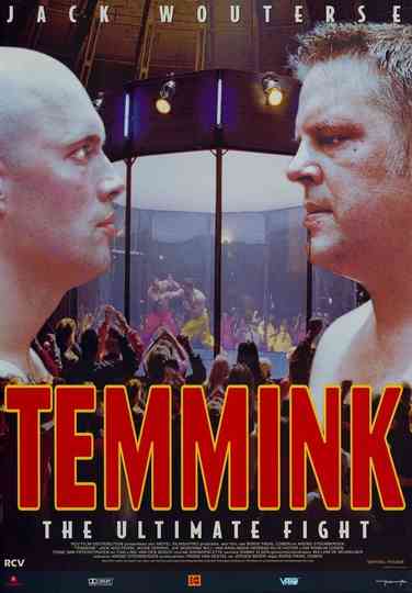 Temmink: The Ultimate Fight Poster