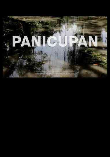 Catching Peace Poster