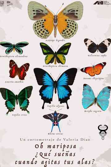 Oh Butterfly, What Do You Dream of When You Flap Your Wings? Poster