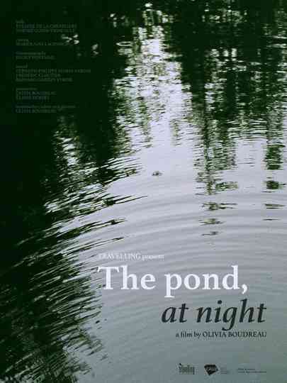 The Pond, at Night Poster