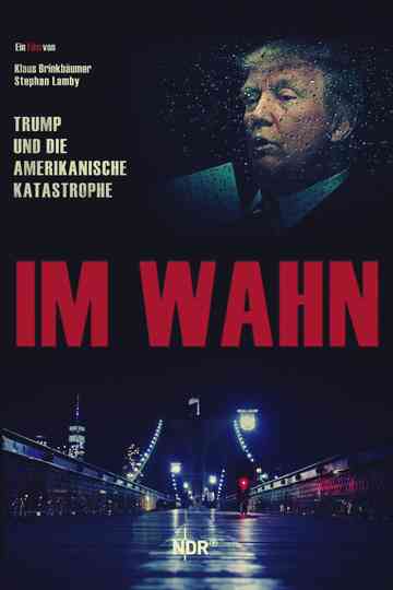 In Delusion Trump and the American Catastrophe Poster