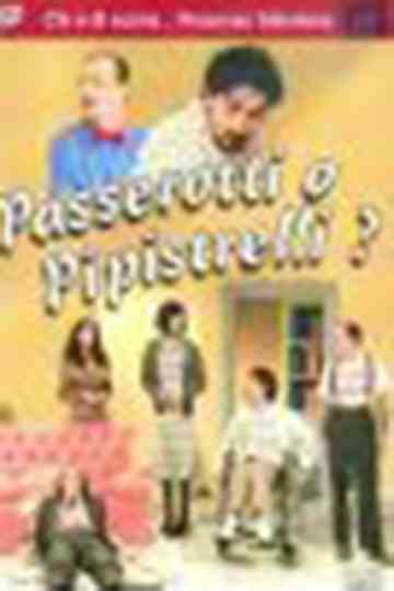 Passerotti o pipistrelli? Poster