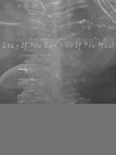 Stay If You Can  Go If You Must Poster