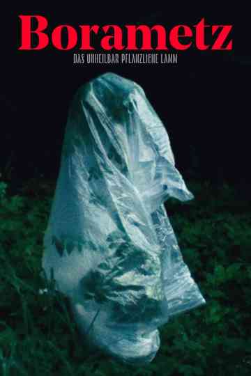Borametz Poster