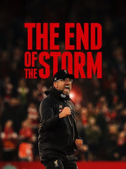 The End of the Storm Poster