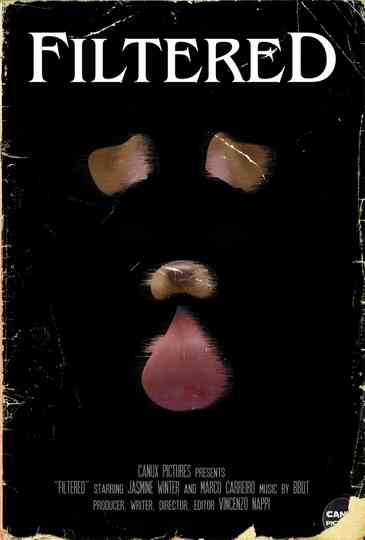Filtered Poster