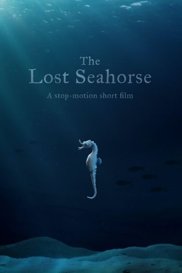 The Lost Seahorse
