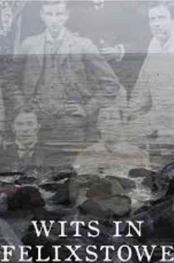 Wits in Felixstowe Poster