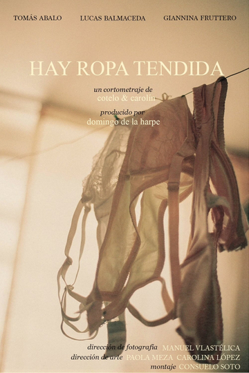 Hay ropa tendida Poster