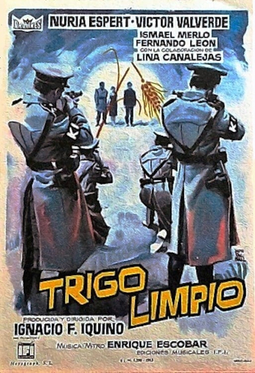 Trigo limpio