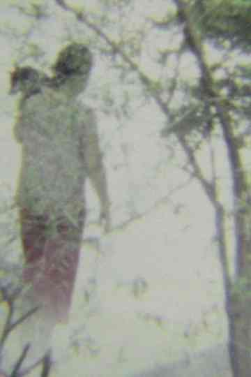 A Tale of Heaven Poster