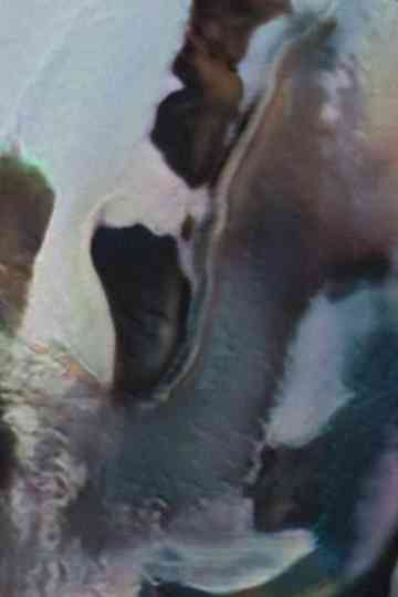 Untitled 4 Two dead Poster