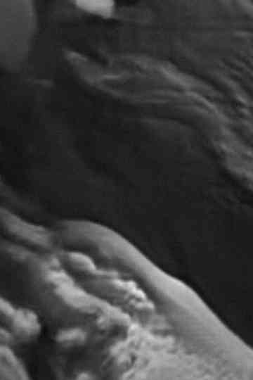 Untitled 5 Not now No no Poster