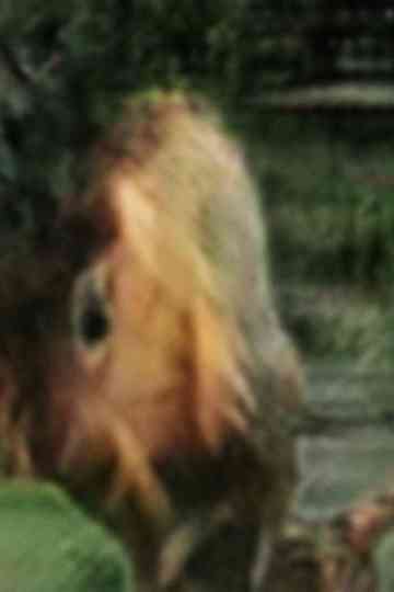 Untitled 2 (Kiss me.) Poster