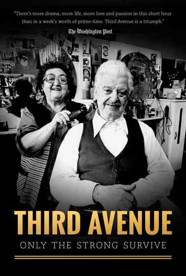 Third Avenue: Only the Strong Survive Poster