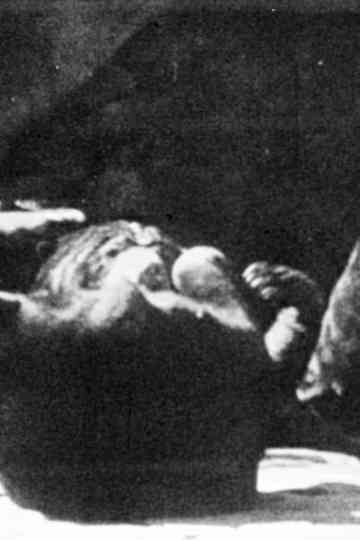 Tarzans Kampf mit dem Gorilla Poster