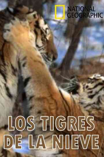 Los tigres de la nieve Poster
