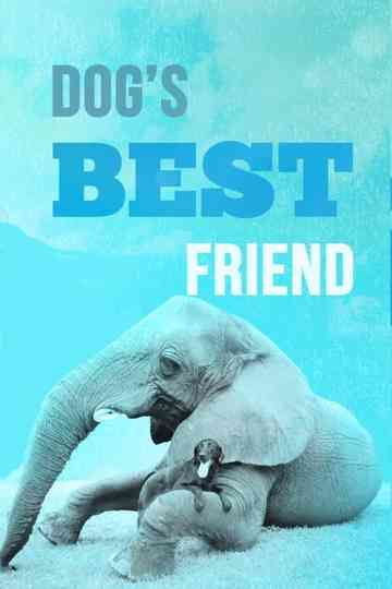 Dog's Best Friend Poster