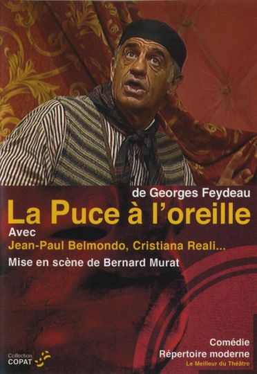 La puce à loreille