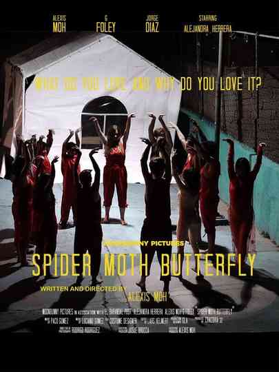 Spider Moth Butterfly Poster