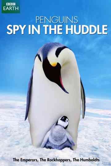 Penguins: Spy in the Huddle