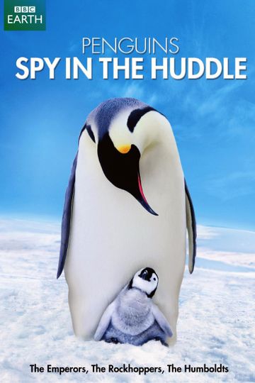 Penguins: Spy in the Huddle
