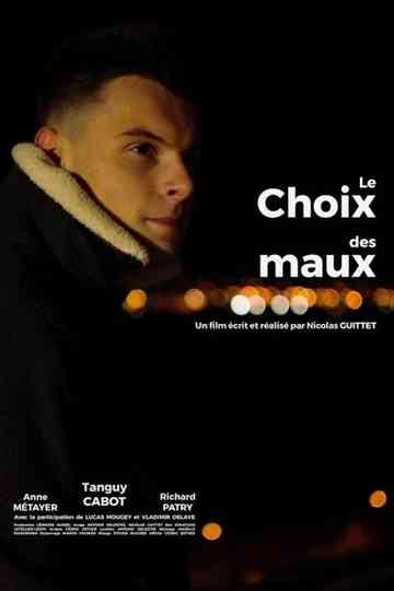 Le choix des maux Poster