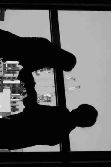 Mirror of Post-Truth Poster