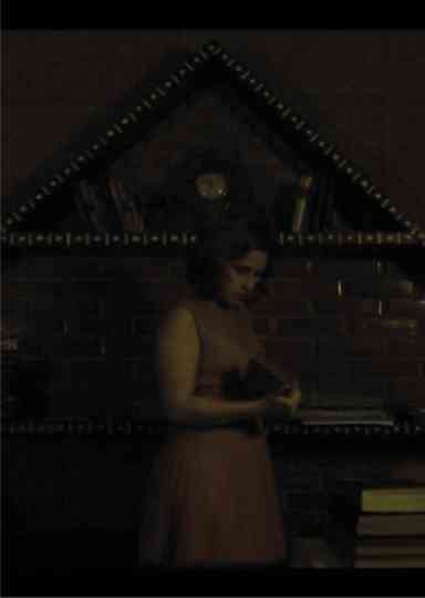 Páginas Da Loucura Poster