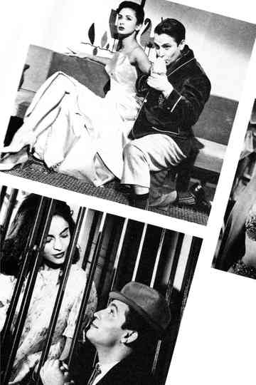 Yo y las mujeres Poster