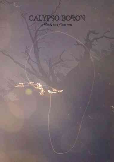 Calypso Boron Poster