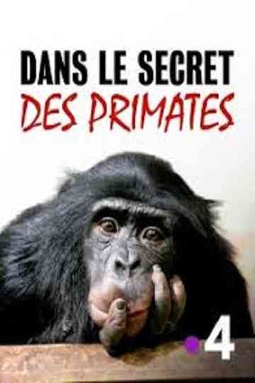 Dans le secret des primates Poster