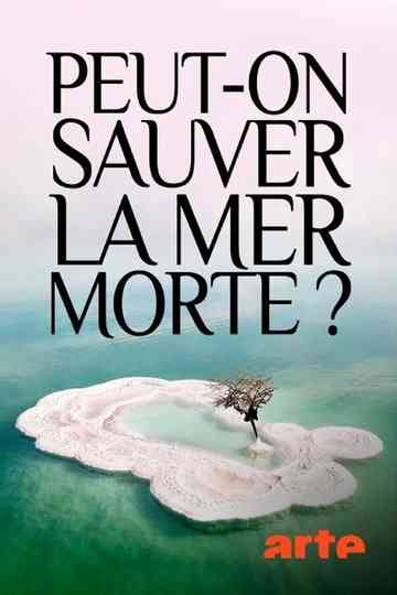 Peuton sauver la mer Morte  Poster