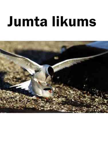 Roof on the Moonway Poster