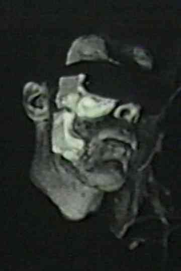 Birdheart Pie Poster