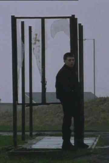 Mad Passionate Dreams Poster