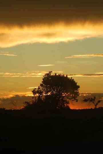 Yvy Pyte  Coração da Terra Guaiviry Poster