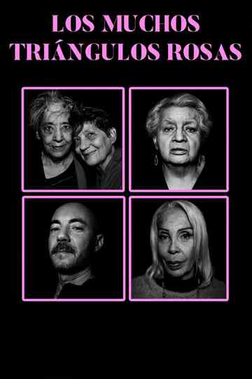 The Many Pink Triangles Poster