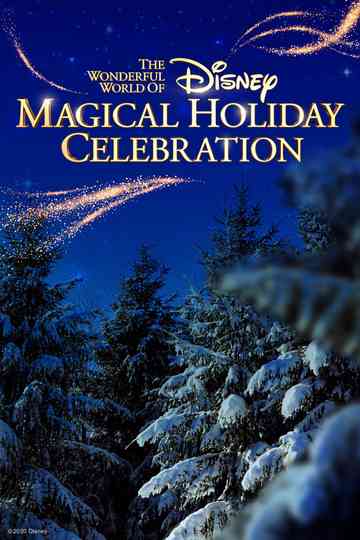 The Wonderful World of Disney Magical Holiday Celebration Poster