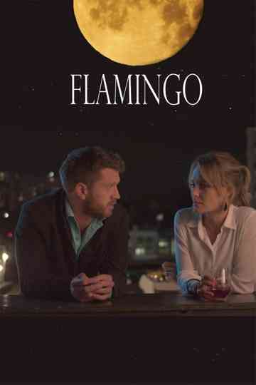 Flamingo Poster