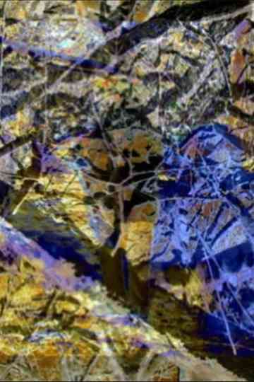 Winter Morning Poster