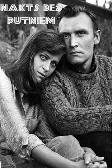 A Birdless Night Poster